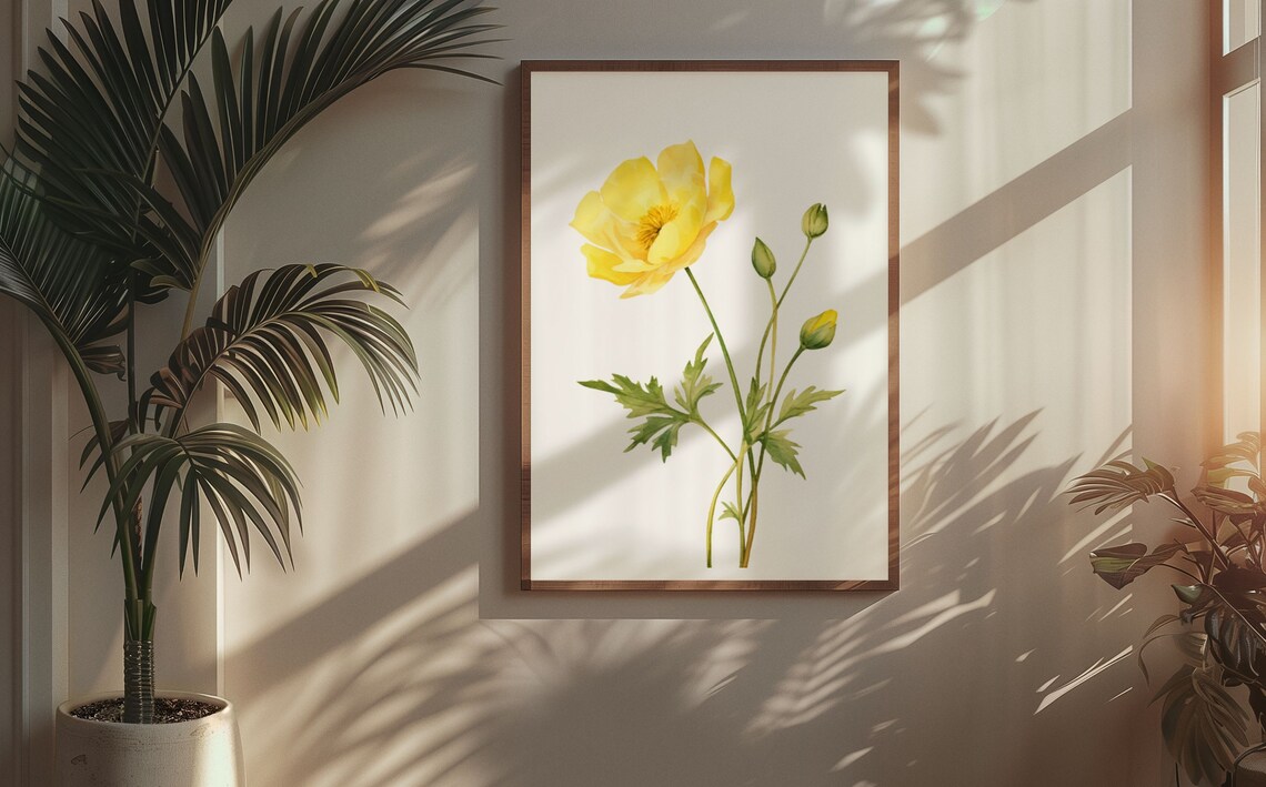 Sunny Yellow Buttercup Flower Botanical Watercolour Art Poster - Image 5