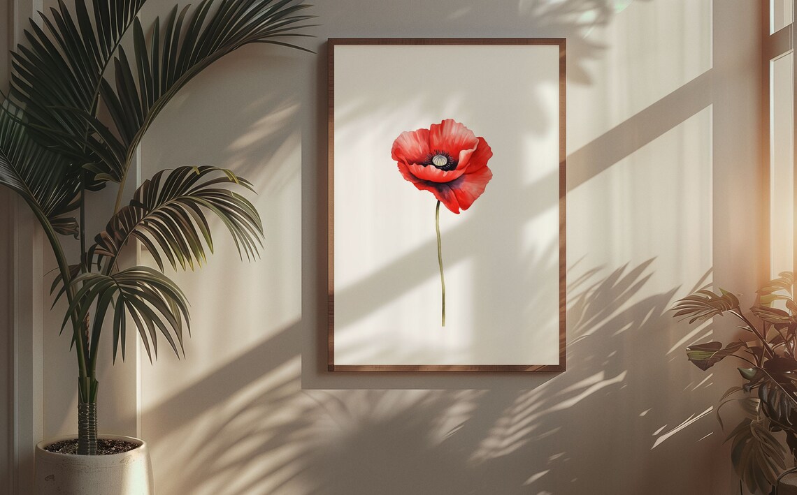 Red Poppy Single Bloom Classic Watercolour Botanical Flower Poster - Image 5