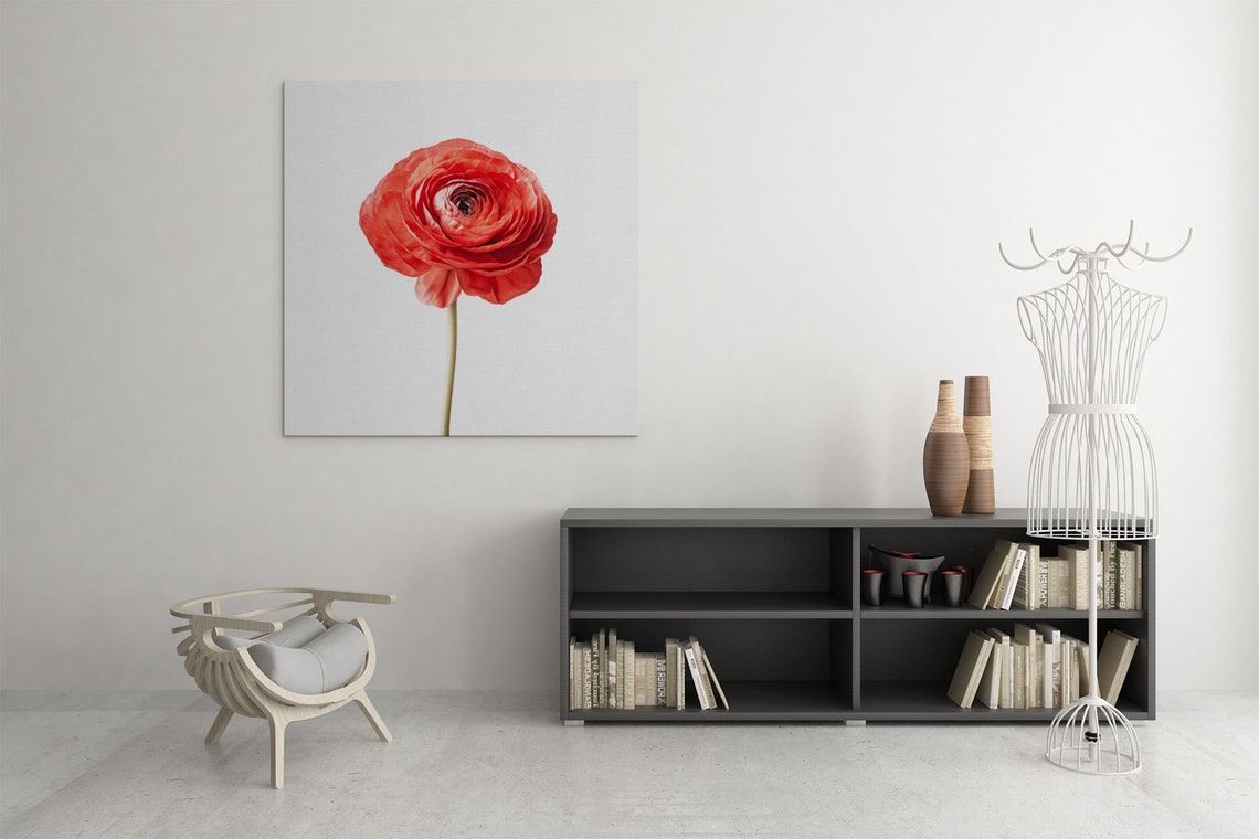Red Ranunculus Single Bloom Watercolour Botanical Flower Poster - Image 9