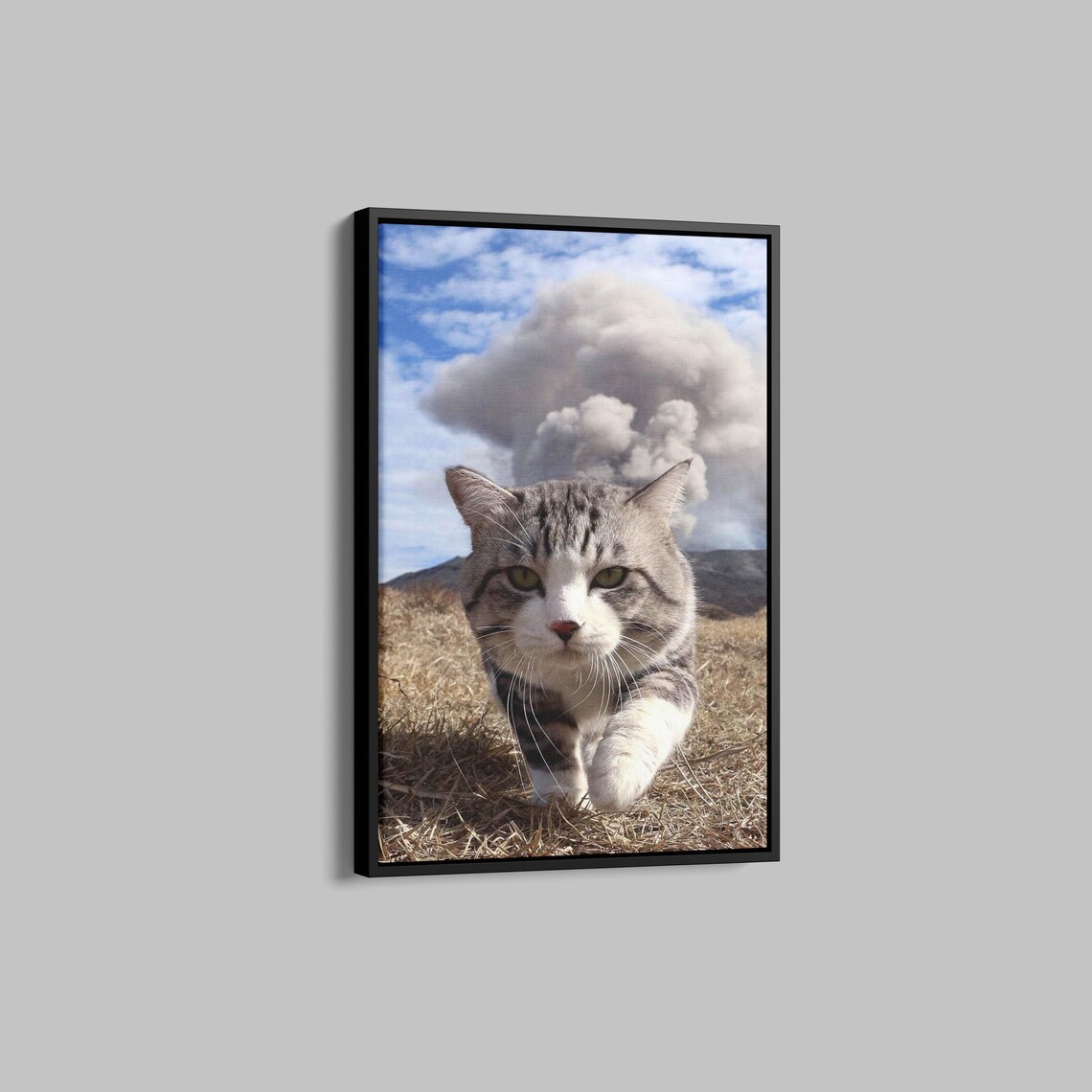 Funny Tabby Cat Walking Toward Camera With Dramatic Cloud Poster