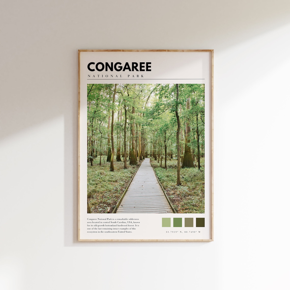 Congaree National Park Boardwalk Forest Trail Green Nature Poster