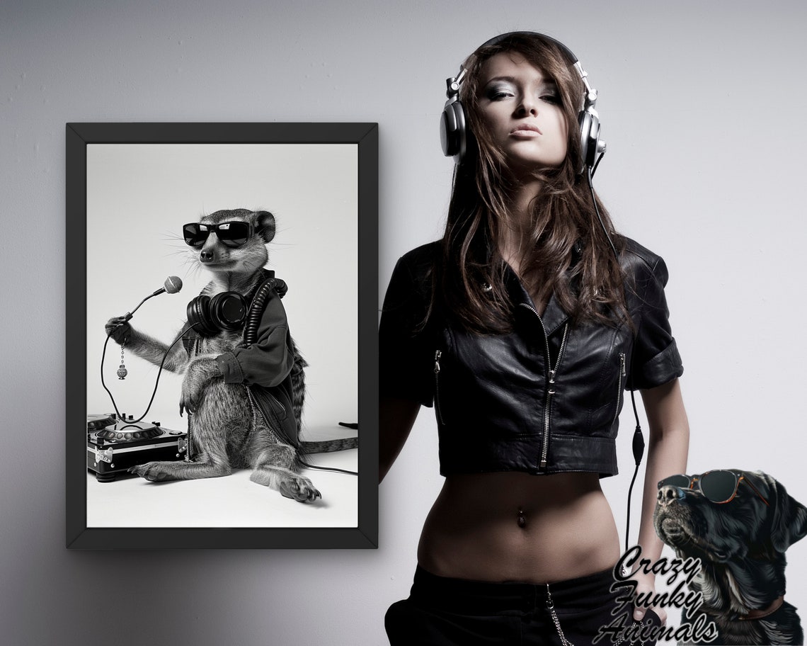 Cool Meerkat DJ With Sunglasses Microphone and Turntable Poster - Image 3