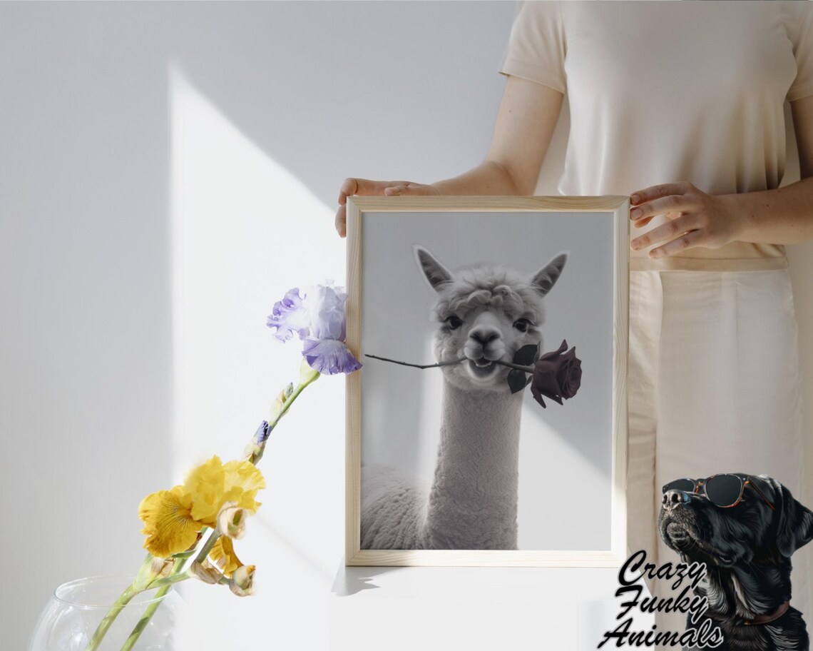 Alpaca Holding a Red Rose in Its Mouth Romantic Black and White Poster - Image 3
