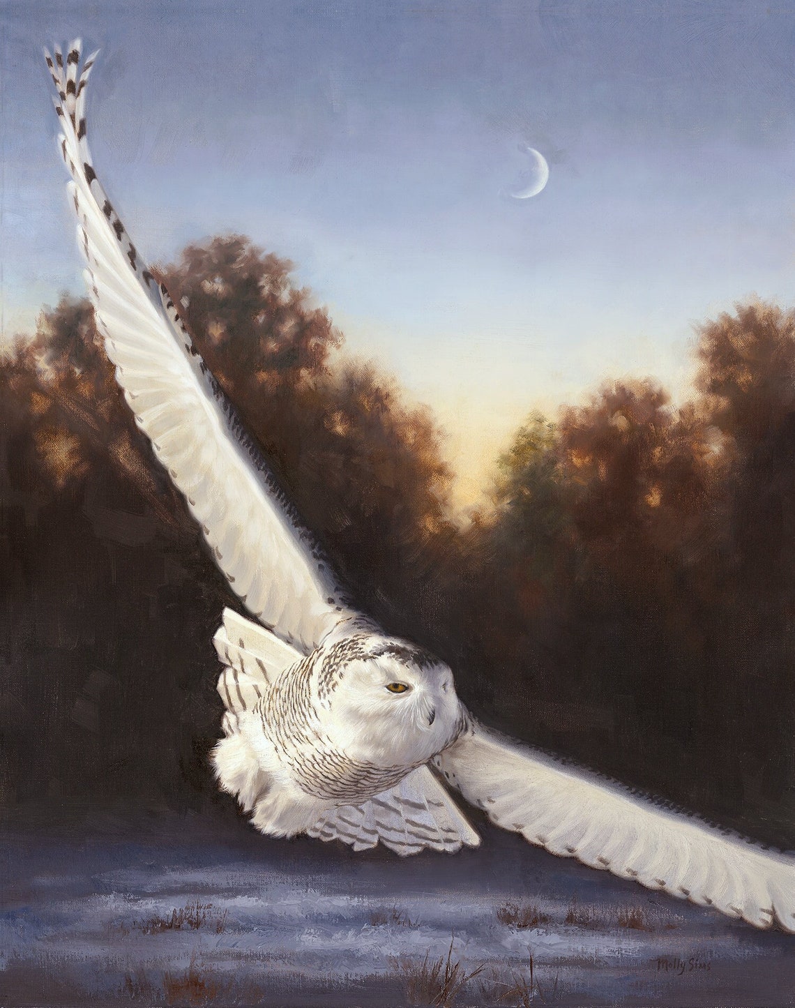 Owl Snowy Owl Owl Painting Owl Print Owl Art Owl Sunset Realistic Art Wildlife Painting Birds Of Prey