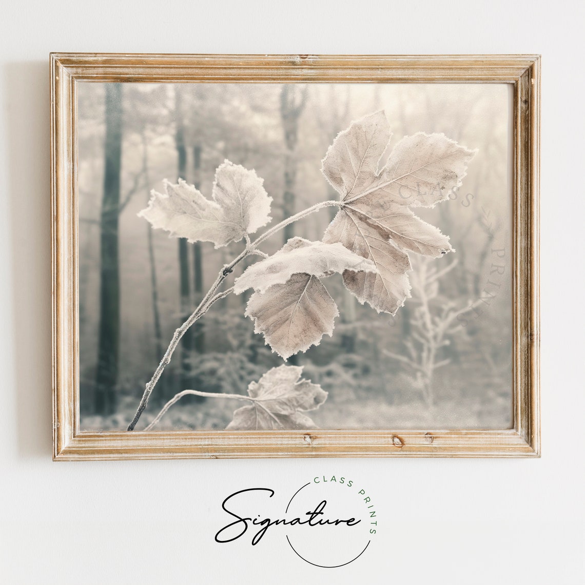 Frosted Leaves Branch in Misty Forest Neutral Winter Art Poster