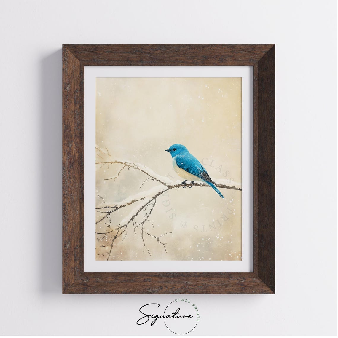 Bluebird Perched on a Snow Covered Branch Winter Bird Poster - Image 3