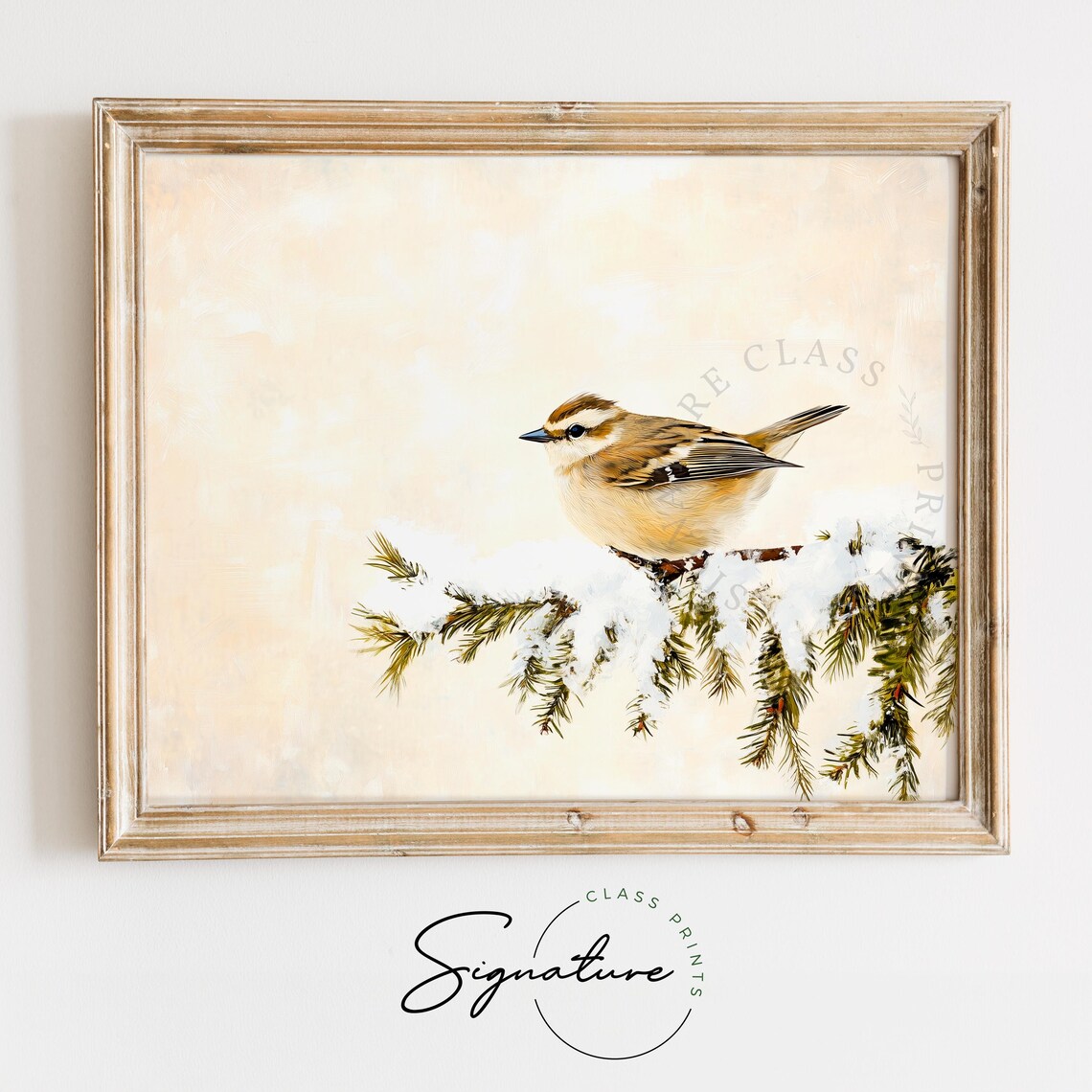 Small Songbird on Snowy Fir Branch Soft Winter Bird Art Poster