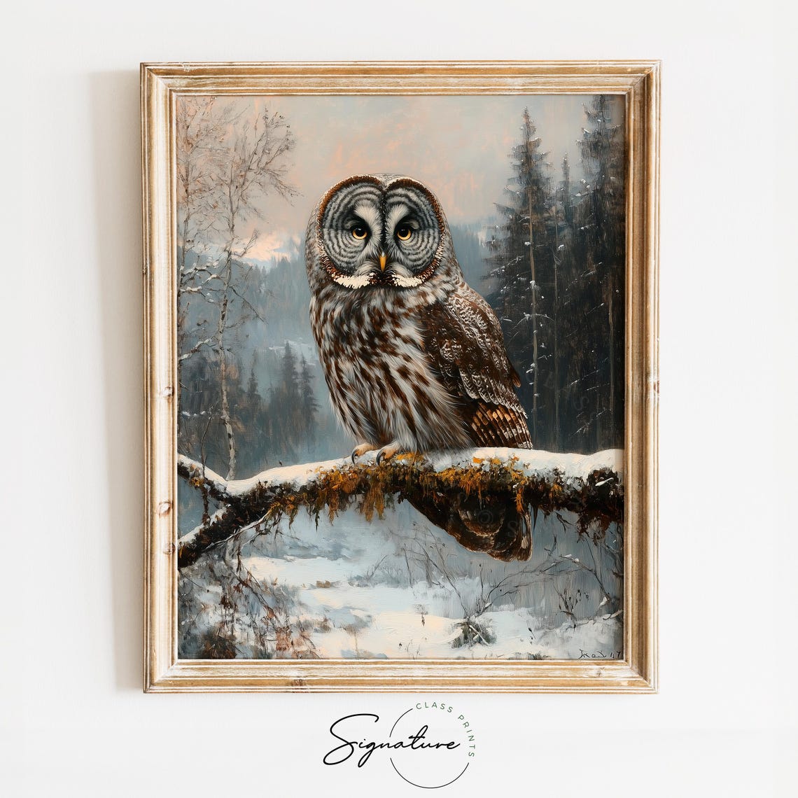 Majestic Great Grey Owl Perched On Snowy Branch Wildlife Poster