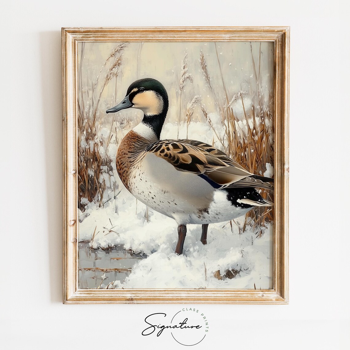 Duck Standing in Snowy Marsh Reeds Winter Wildlife Scene Art Poster