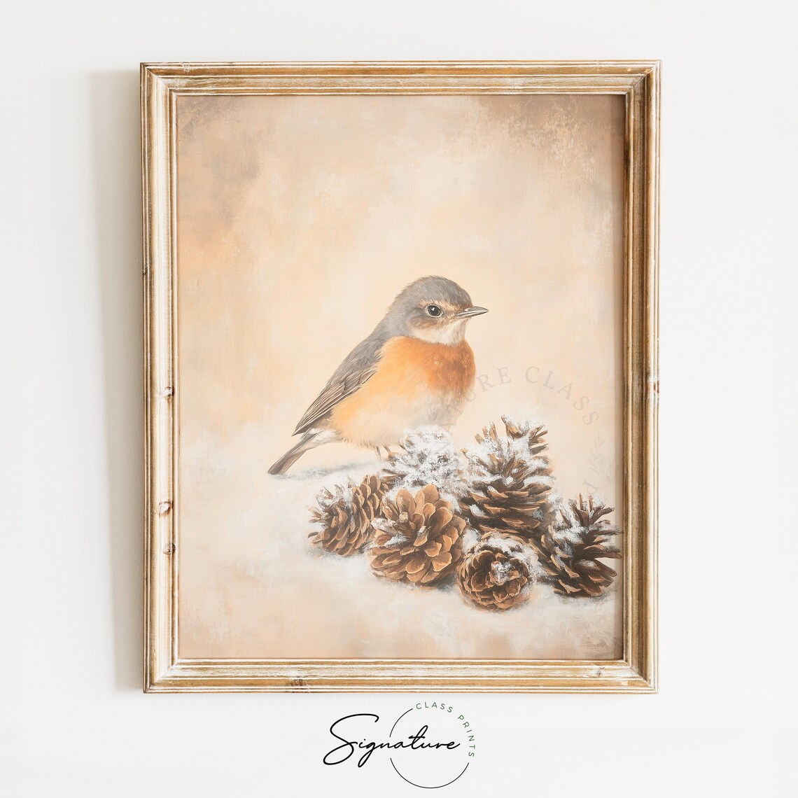 Robin Beside Snow Dust Pinecones Winter Bird Christmas Art Print