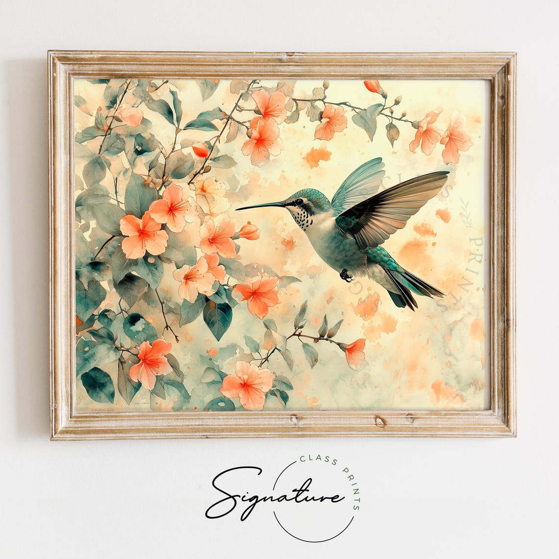 Hummingbird Hovering Among Peach Blossoms Soft Watercolor Bird Poster