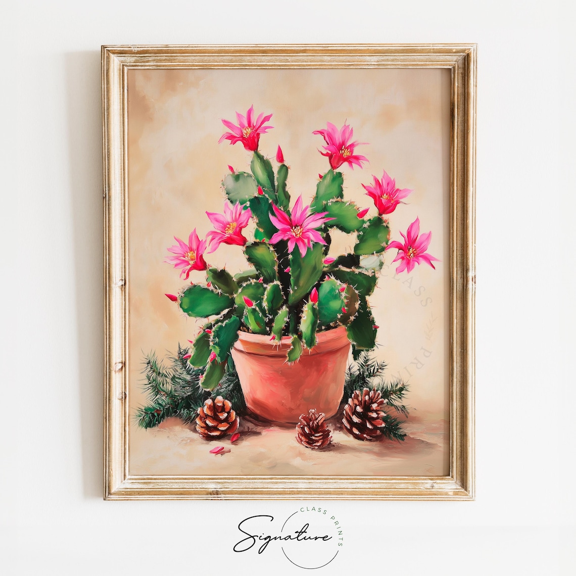 Blooming Christmas Cactus with Pink Flowers Terracotta Poster