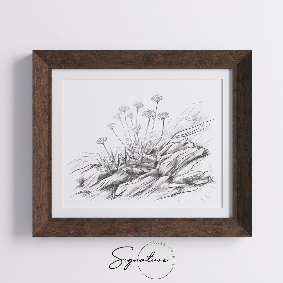 Wildflowers Among Rocks Pencil Sketch Minimalist Botanical Poster - Image 5