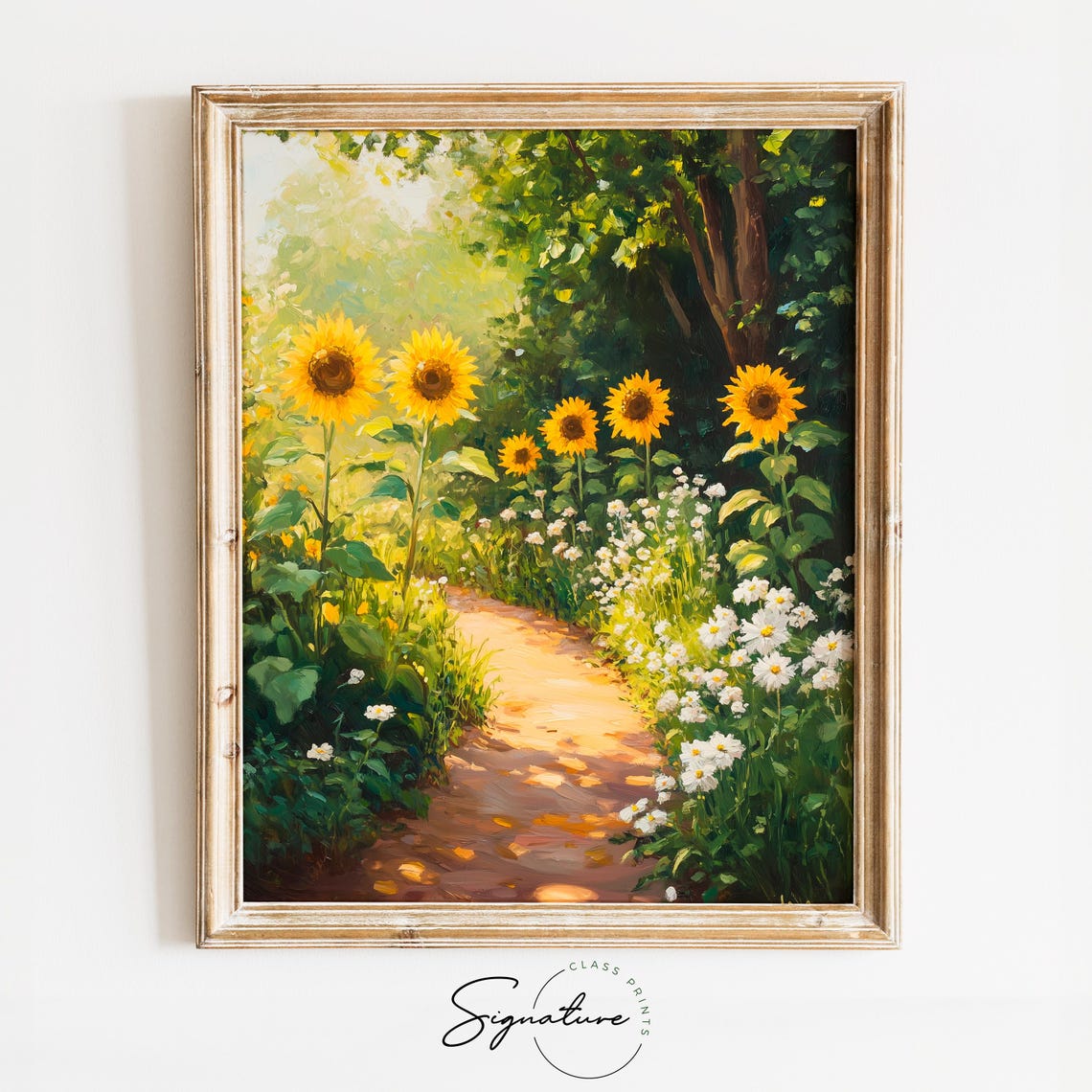 Sunflowers Daisy Path Summer Garden Warm Golden Light Poster