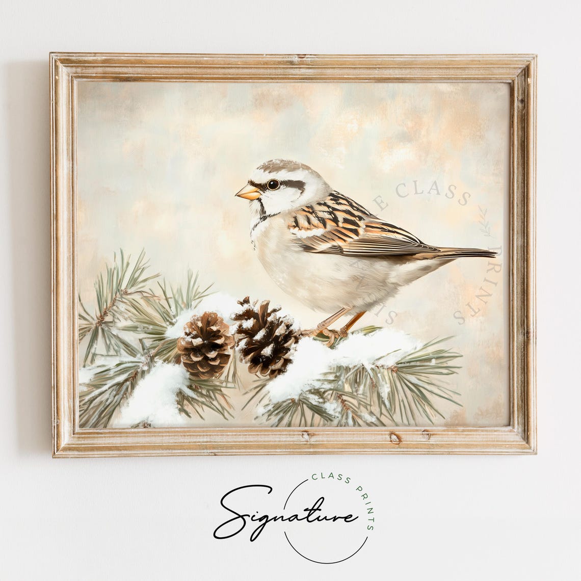 White Crowned Sparrow on Snowy Pine Branch Vintage Bird Art Poster
