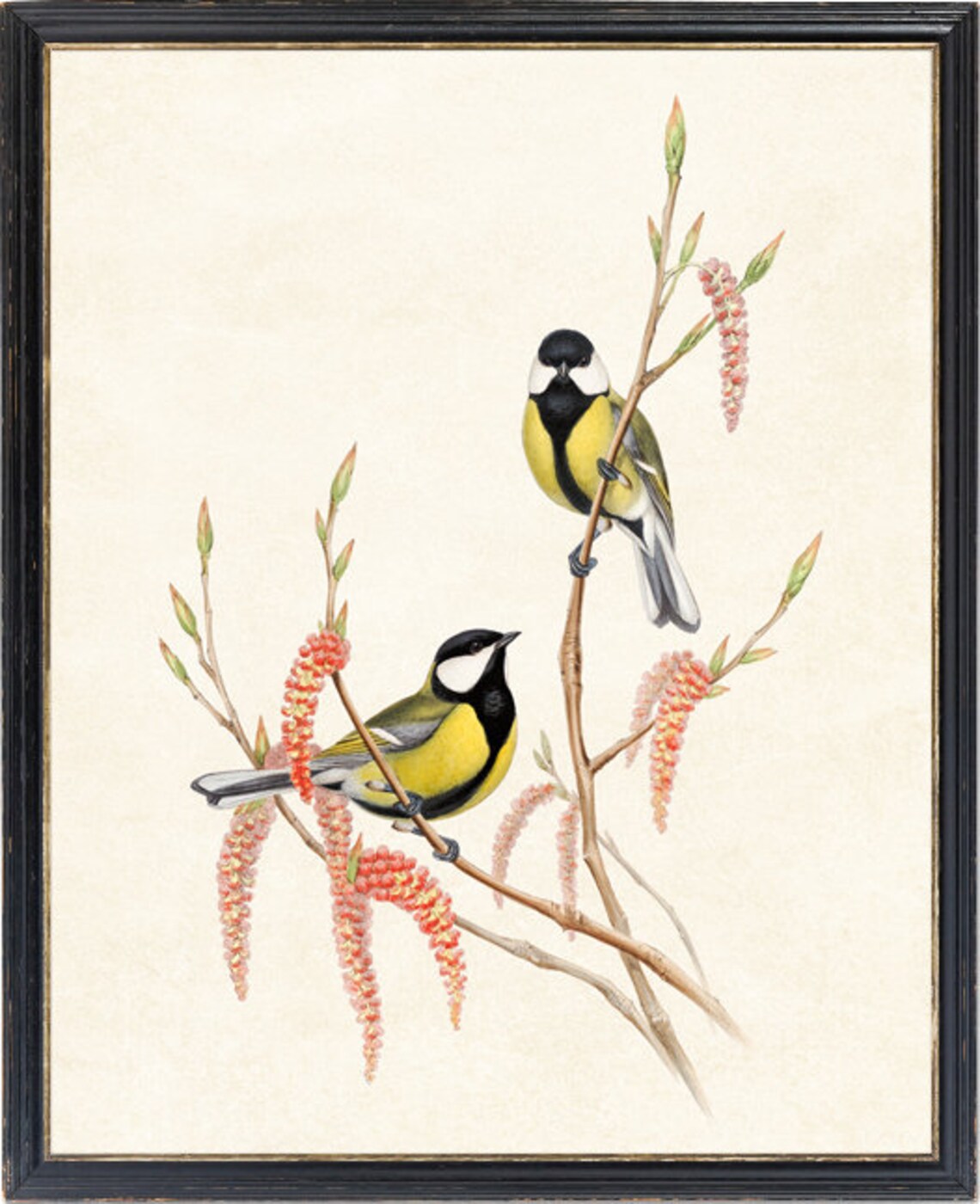 Great Tit Birds and Botanical Vintage Art Print - Image 4