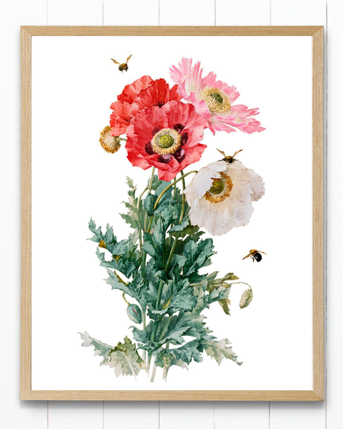 Poppies and Bees, Vintage Illustration Art Print - Image 4