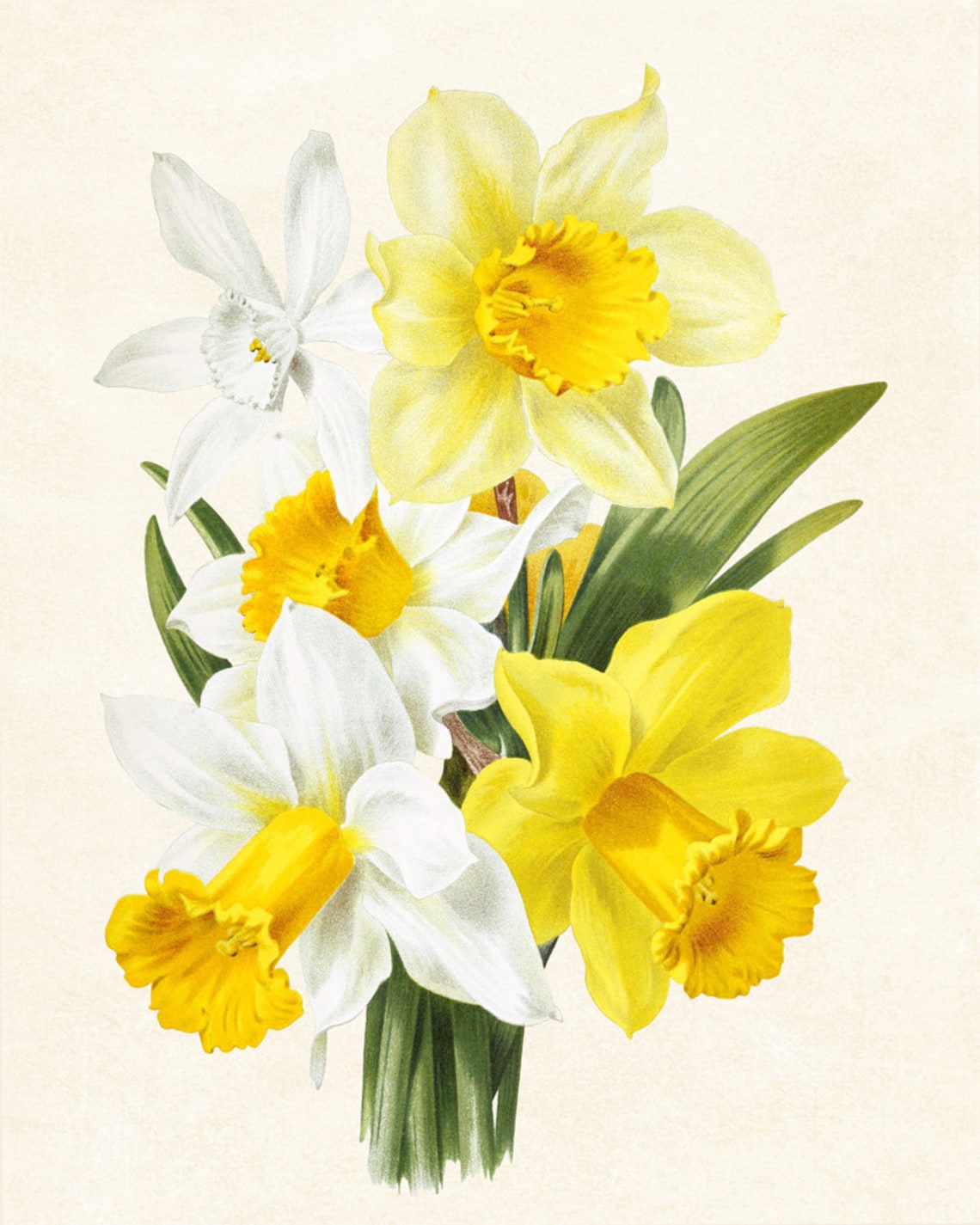 Spring Flowers Vintage Flower Illustration Art Print - Image 3