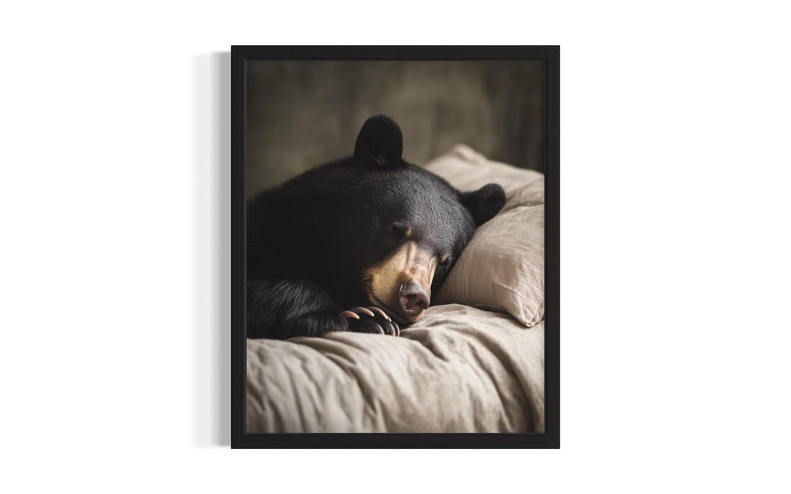 Black Bear Napping on a Pillow in a Dark Cozy Bedroom Poster