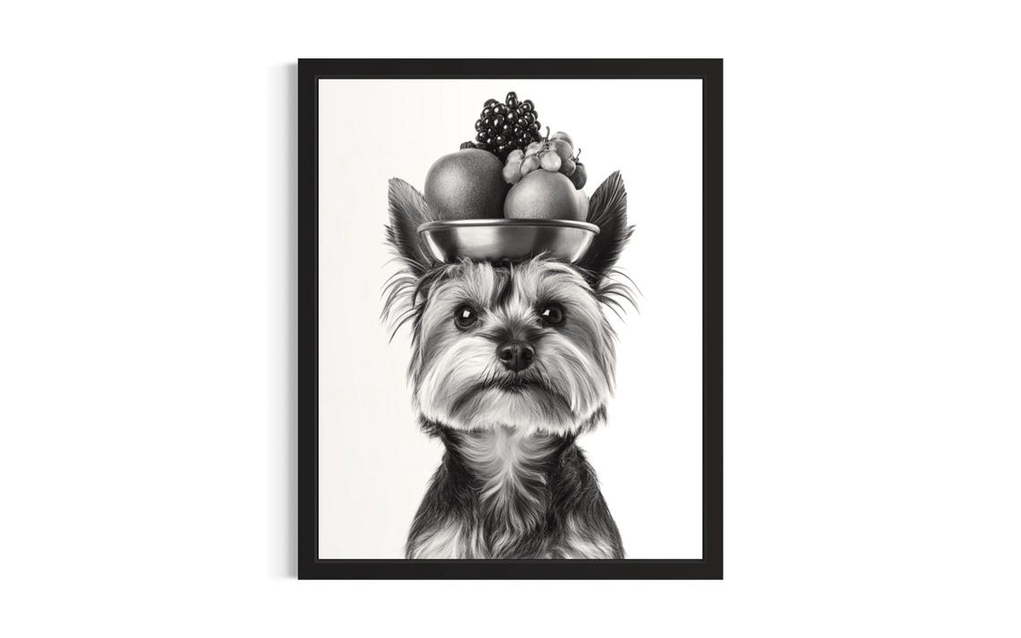 Yorkshire Terrier Balancing Fruit Bowl Black White Dog Portrait Poster