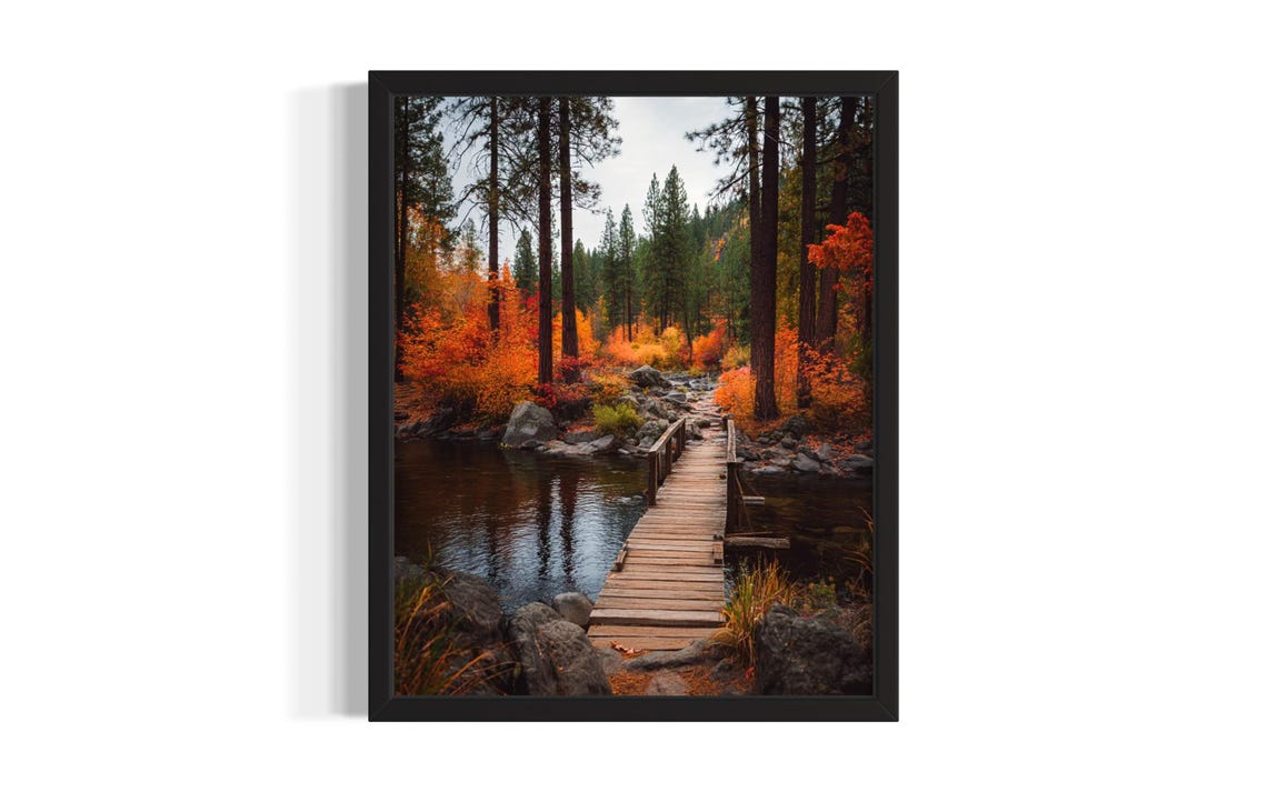 Autumn Forest Boardwalk Over Stream Fall Colors Photo Poster
