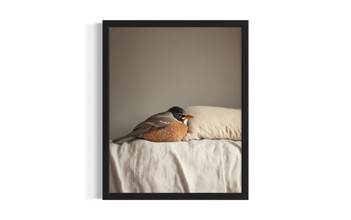 American Robin Resting on Pillow Soft Morning Bird Vintage Poster