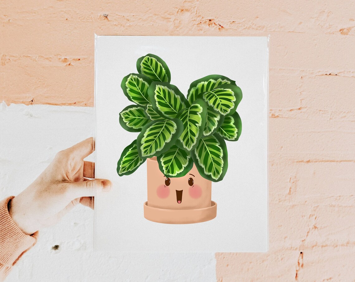 Happy Calathea Roseopicta in a Smiling Terracotta Pot Poster