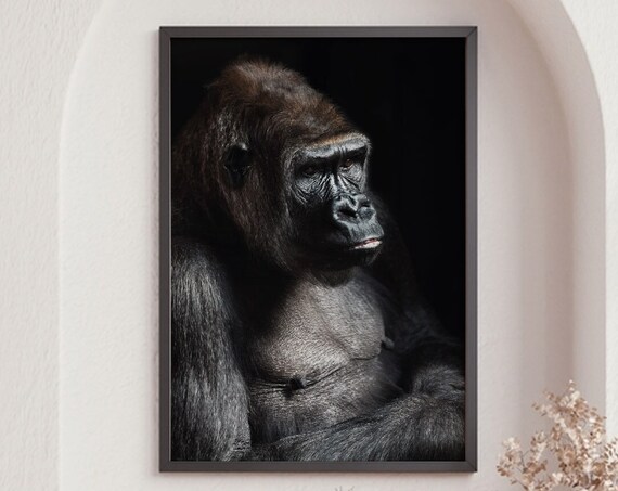 Black Gorilla Portrait Dark Moody Wildlife Fine Art Photo Print