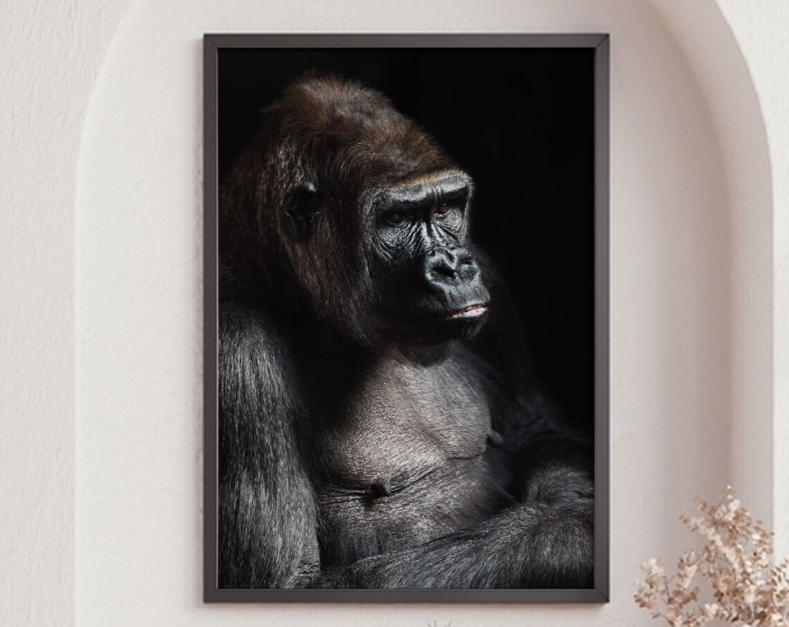 Black Gorilla Portrait Dark Moody Wildlife Fine Art Photo Print