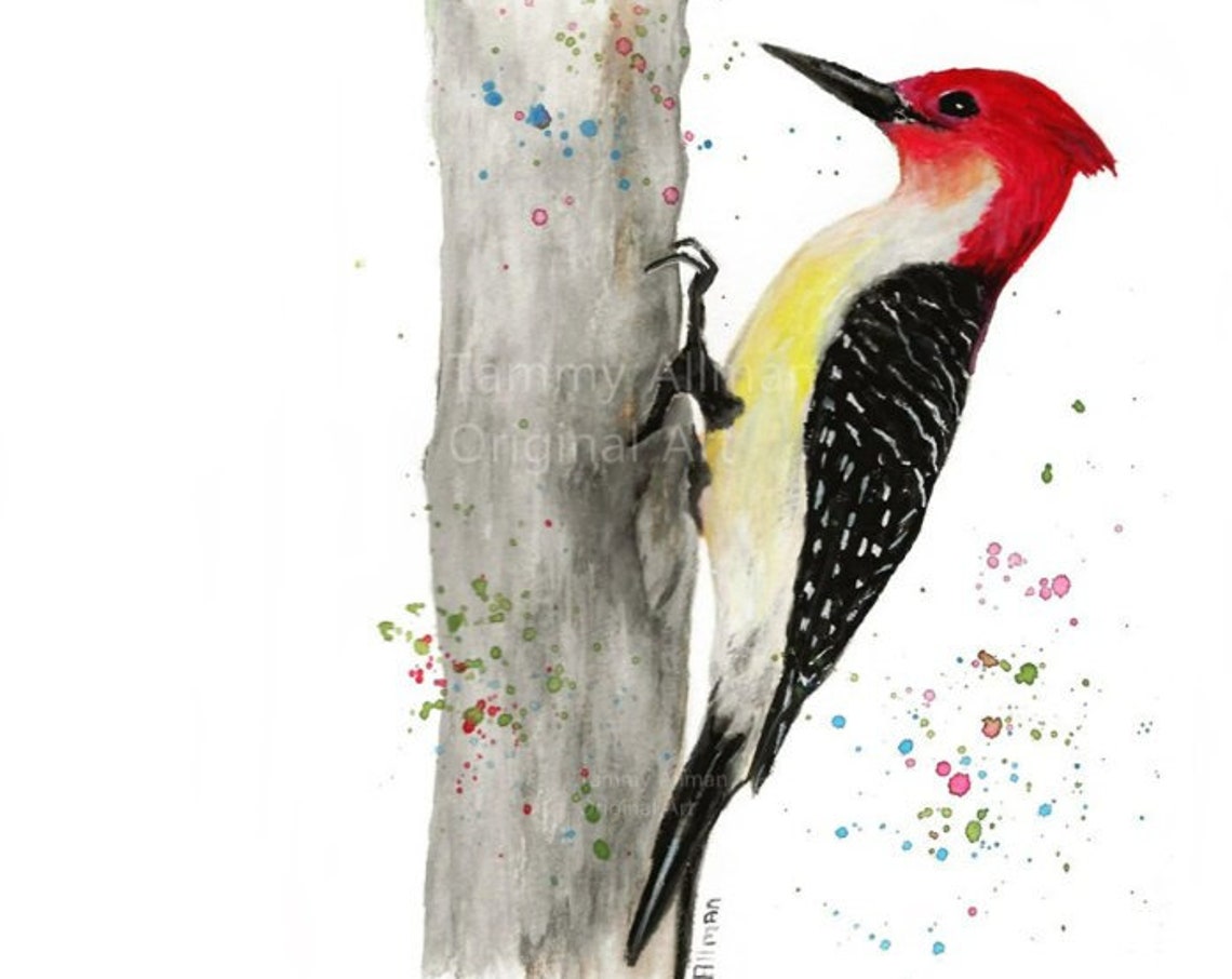 Red Headed Woodpecker Climbing Tree Trunk Watercolor Art Poster