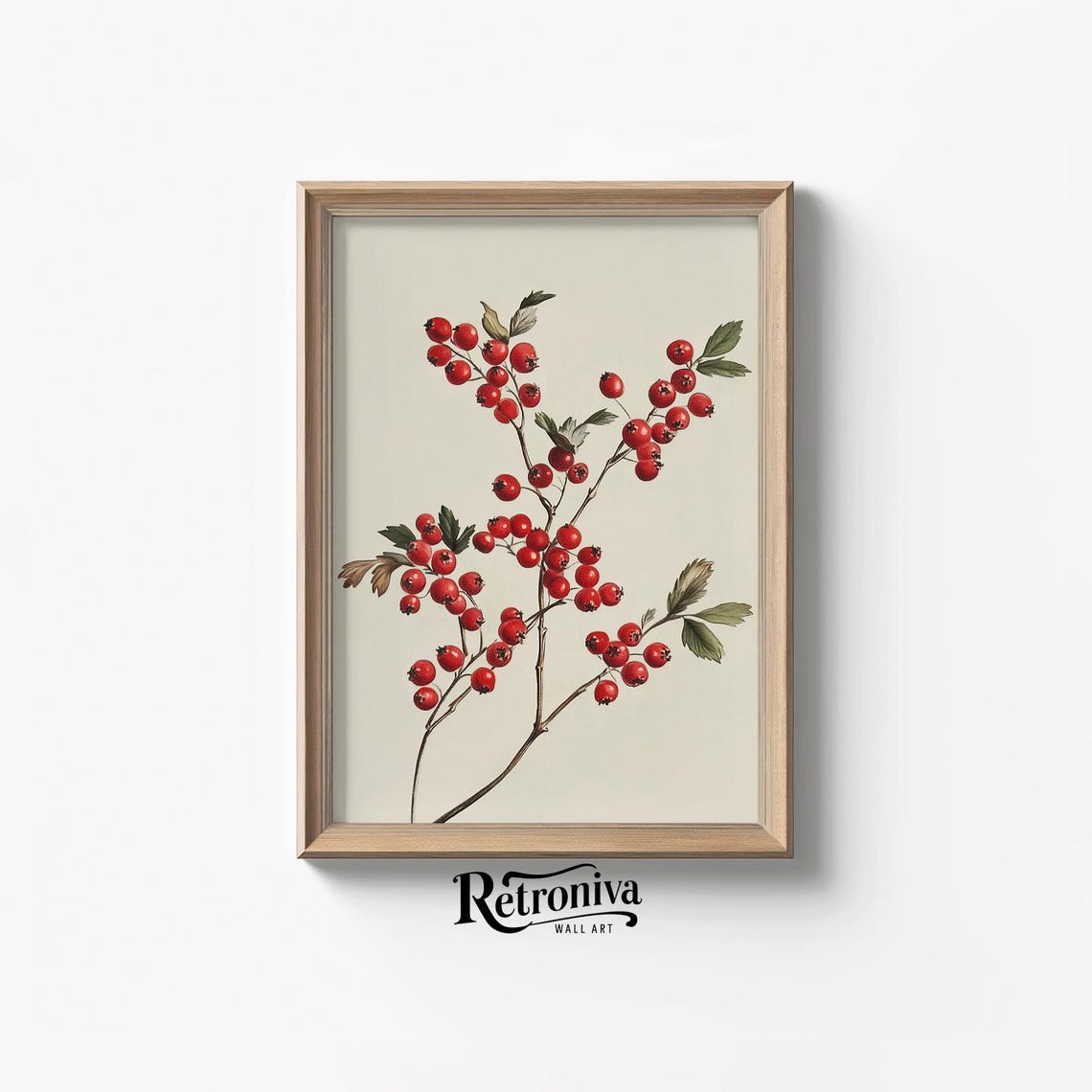 Vintage Botanical Study Of A Branch With Bright Red Berries Poster