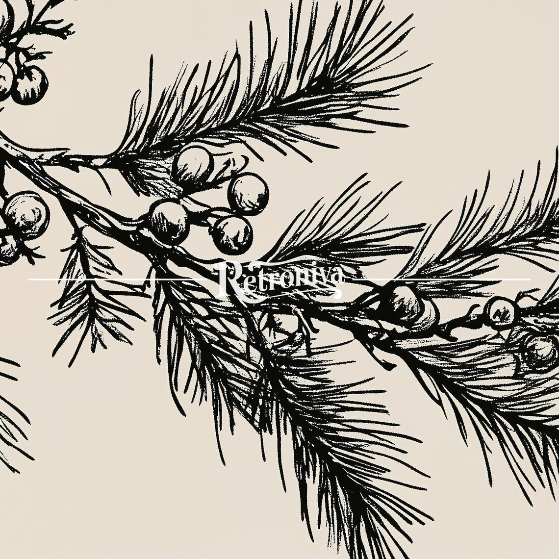 Pine Branch Sketch Minimalist Winter Botanical Line Drawing Poster - Image 7