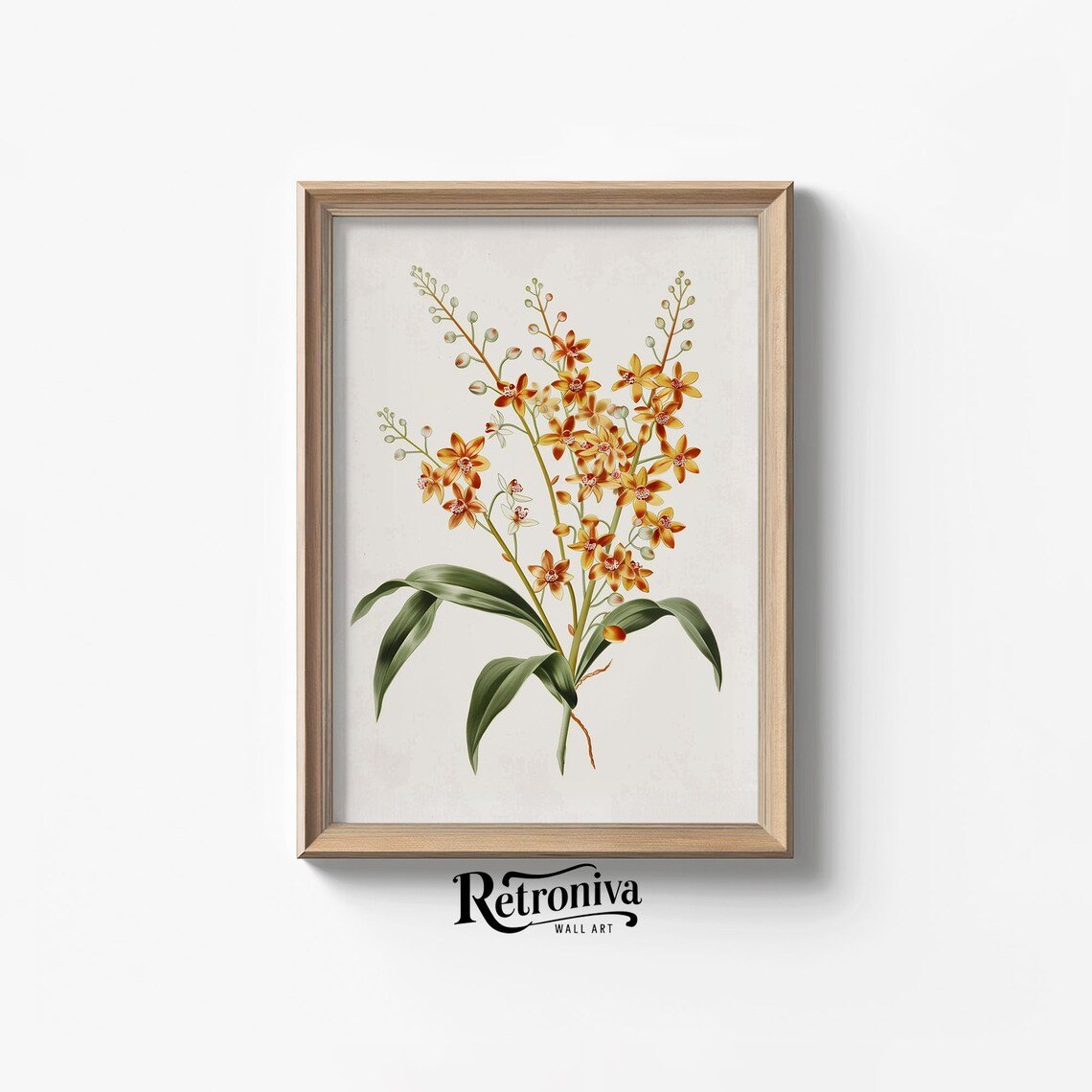 Vintage Orchid Flower Art Print, Minimalist Botanical