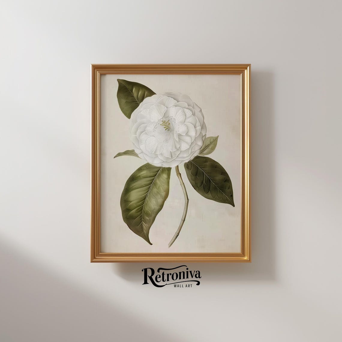 White Camellia Botanical Illustration Antique Flower Art Poster - Image 2