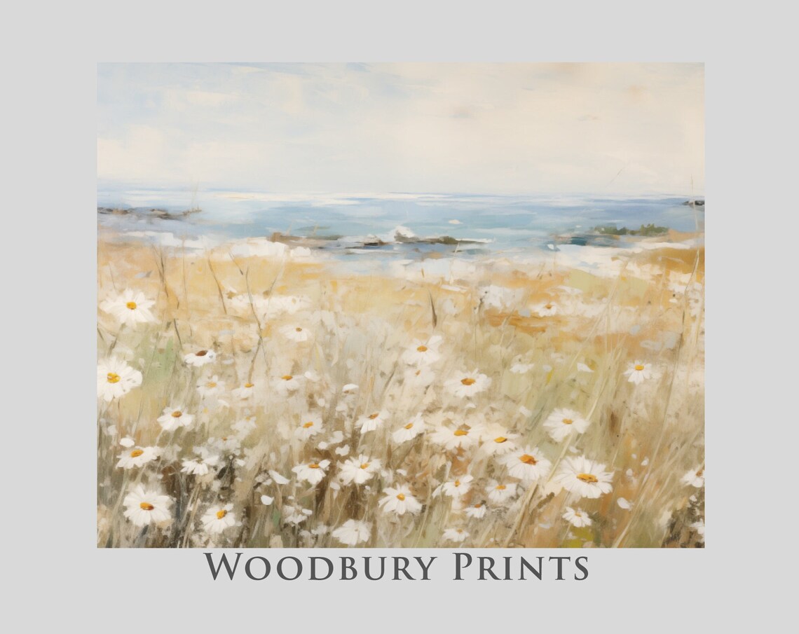White Daisies Blooming In A Coastal Field By The Sea Art Poster