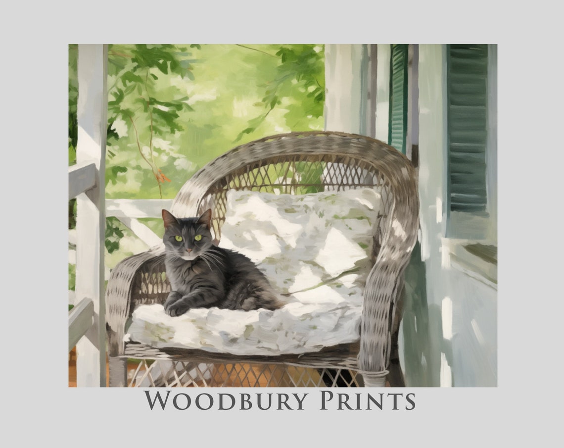 Gray Cat Resting On A Wicker Chair On A Sunny Summer Porch Poster