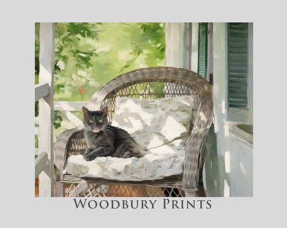 Gray Cat Resting On A Wicker Chair On A Sunny Summer Porch Poster
