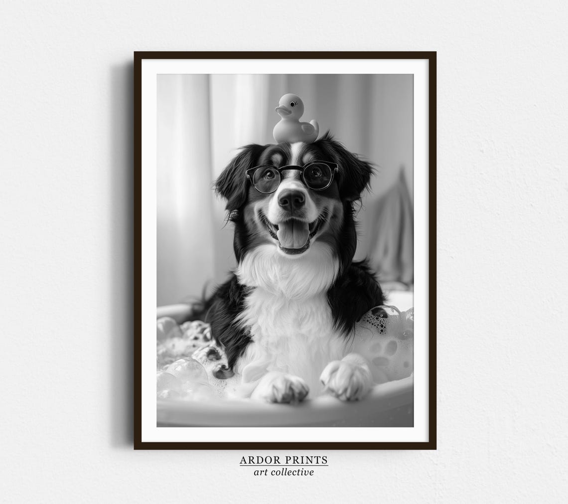 Bernese Mountain Dog in Bubble Bath With Glasses and Duck Poster
