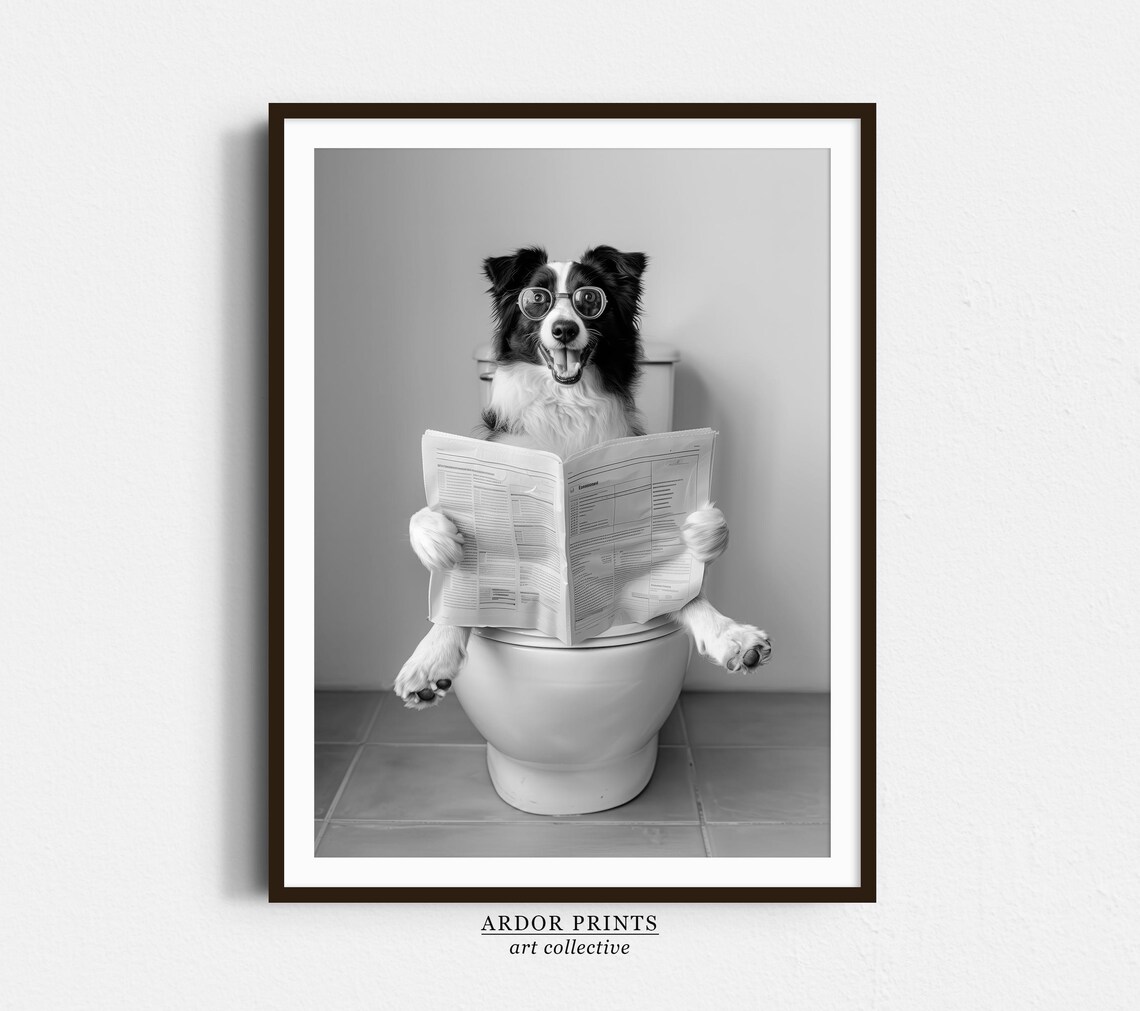 Border Collie Reading Newspaper On Toilet Funny Bathroom Poster