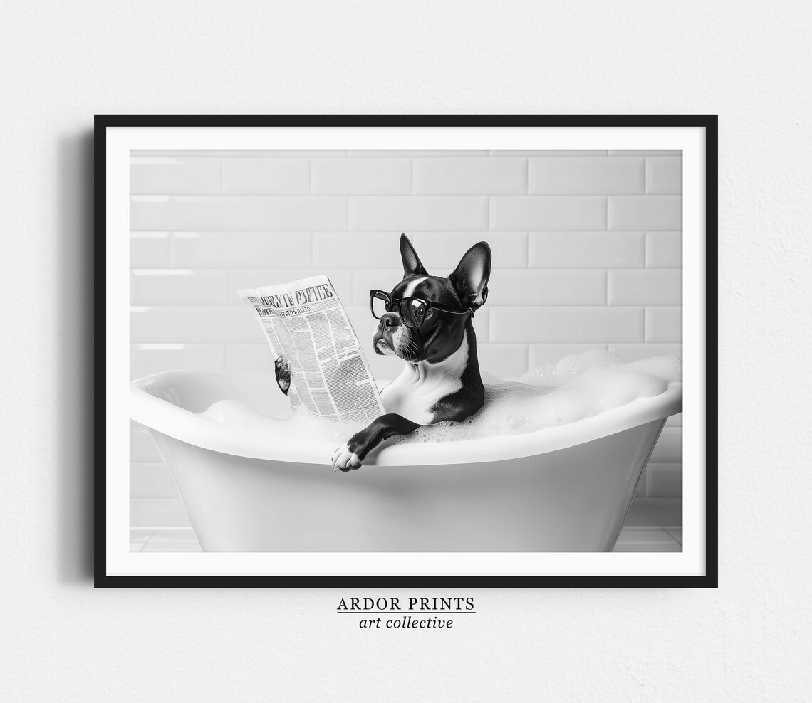 Boston Terrier In Bathtub, Funny Bathroom Art Print