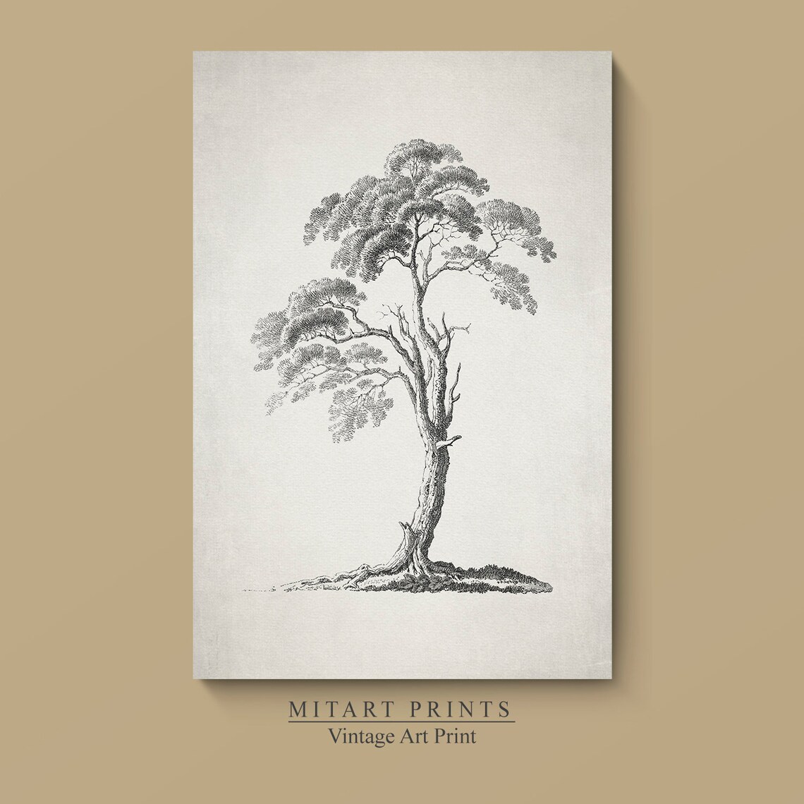 Antique Tree Sketch, Vintage Neutral Art Print - Image 2