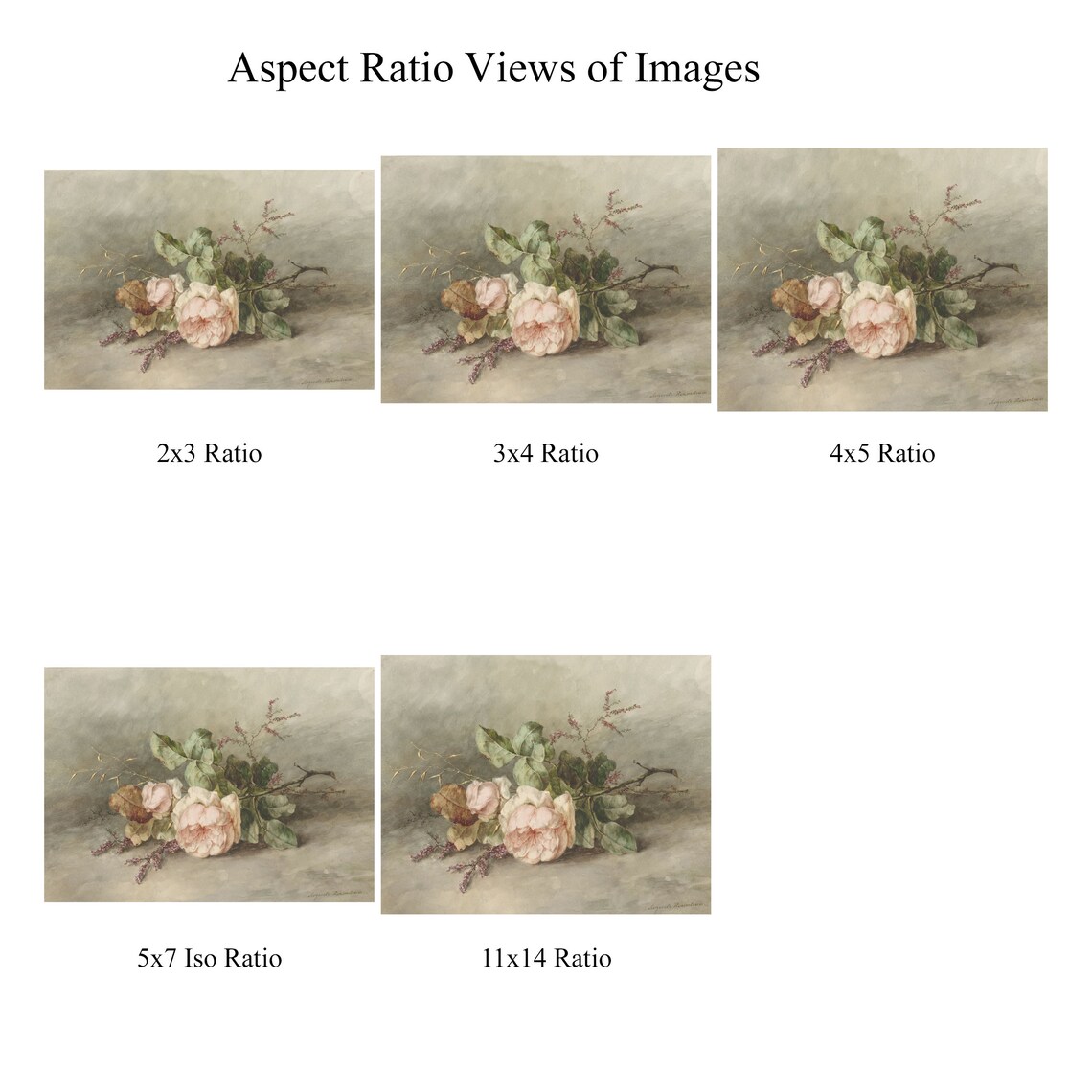 Vintage Roses Neutral Botanical Oil Painting Print - Image 2
