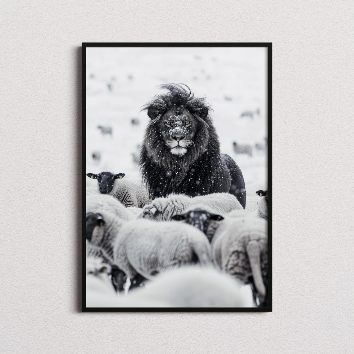 Black Lion Among Sheep In Snow Dramatic Fine Art Photo Poster