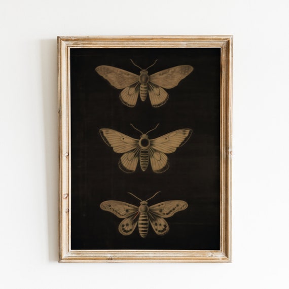 Vintage Black Butterfly Art Dark Butterfly Print Gothic Wall Art Elegant Decor Classic Dark Black Butterflies Artwork