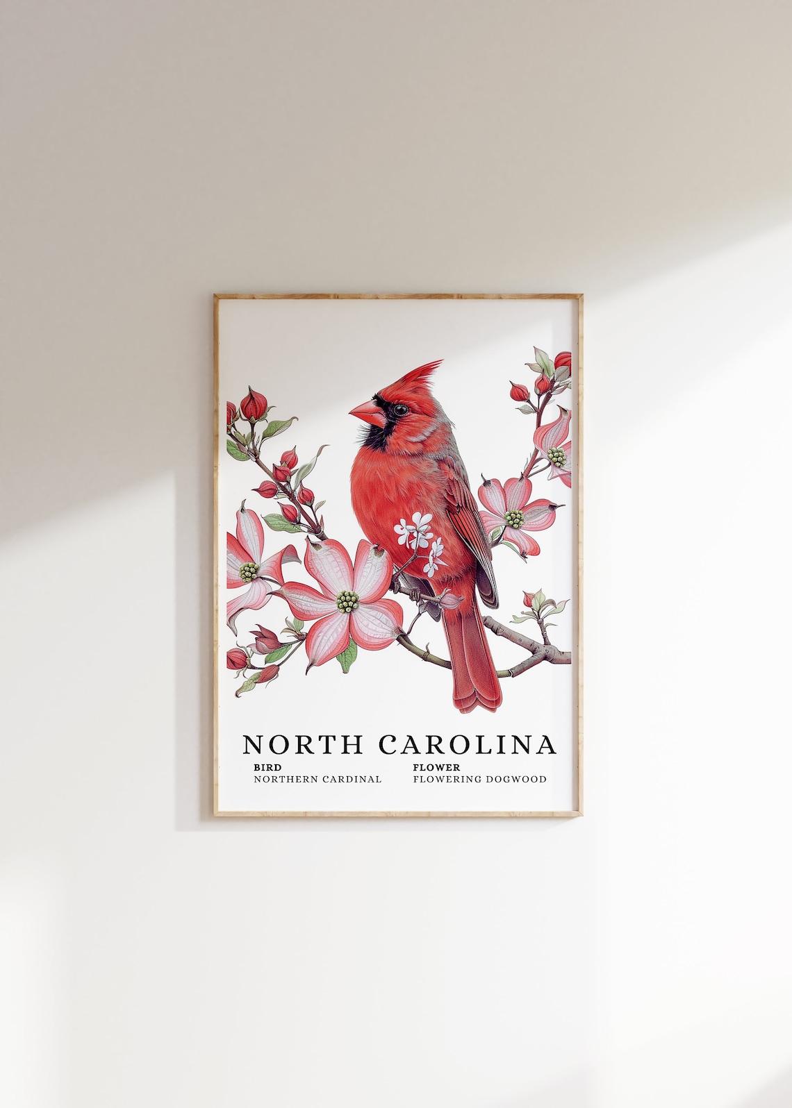 North Carolina Northern Cardinal Flowering Dogwood Bird Flower Art