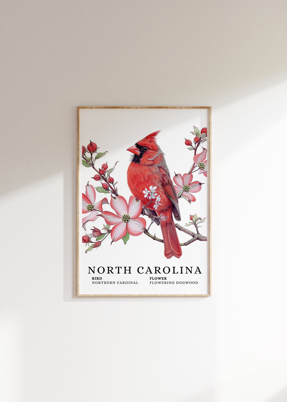 North Carolina Northern Cardinal State Bird And Flowering Dogwood Art Print Cardinal Bird Dogwood Flower Art North Carolina Wall Art