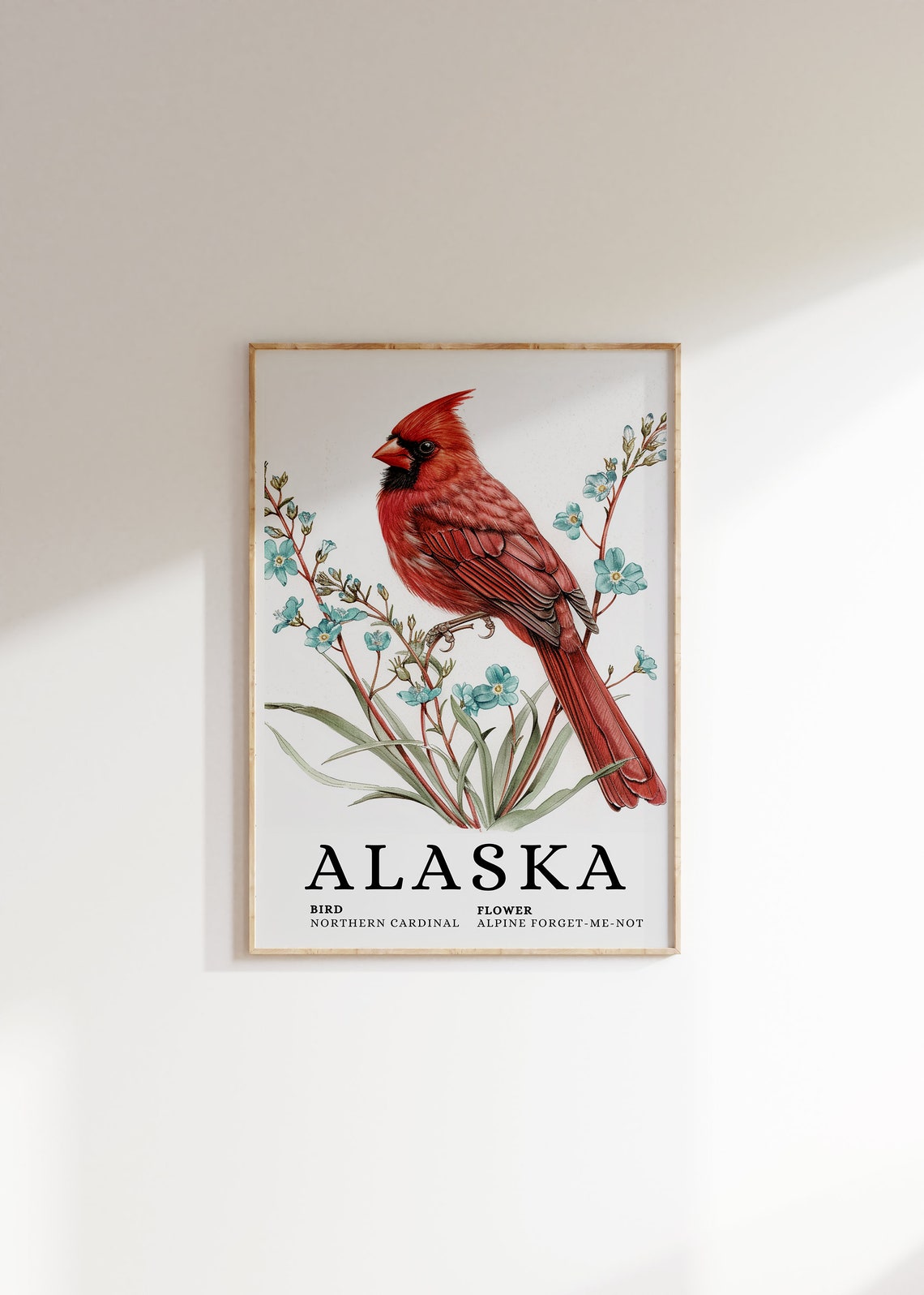 Alaska Northern Cardinal Alpine Forget-Me-Not Bird Flower Art