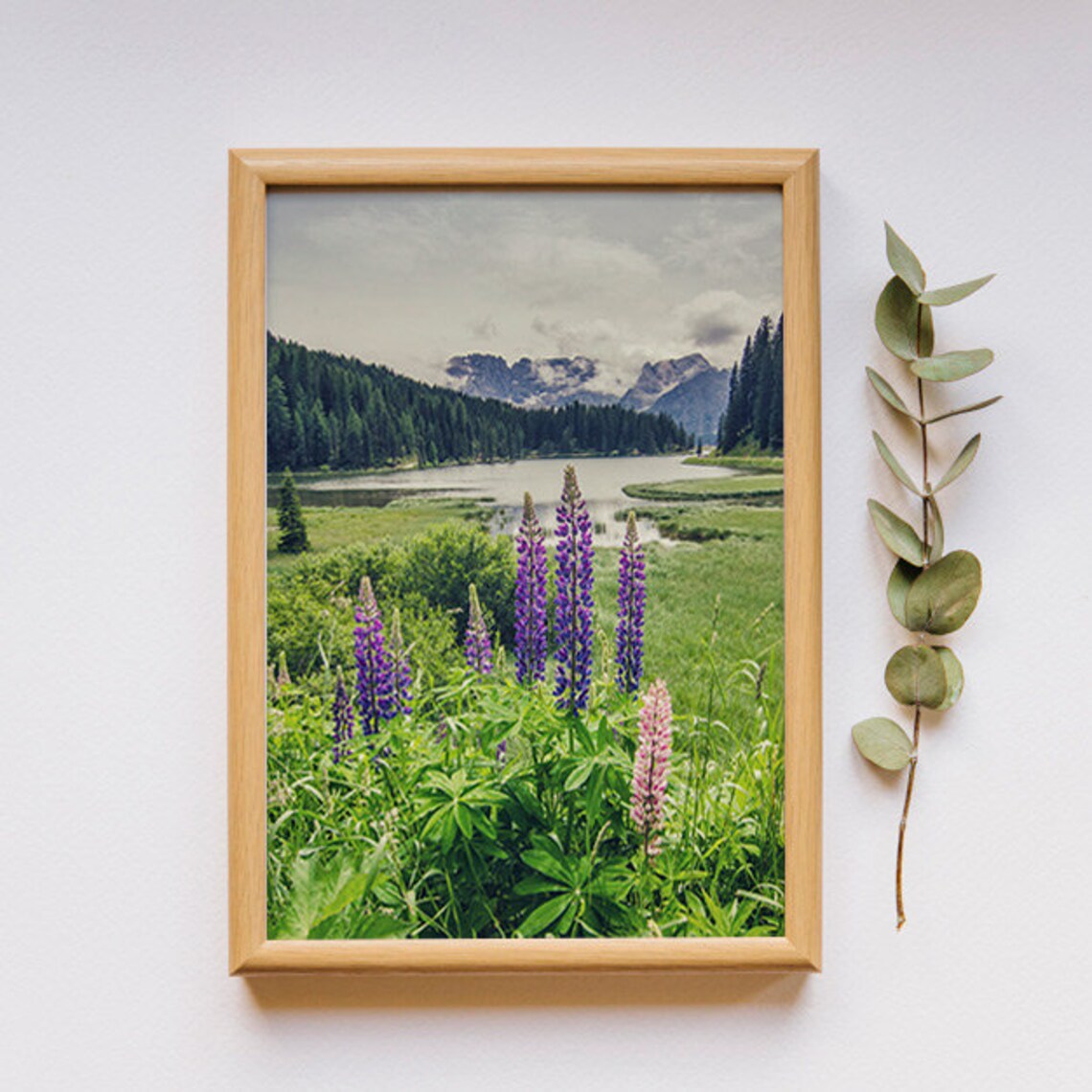 Purple Lupine Meadow Wildflowers Mountain Lake Landscape Wall Art