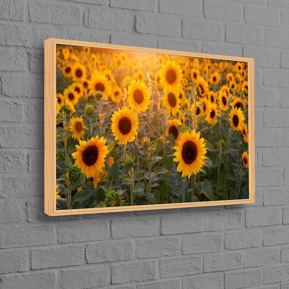 Sunflower Field Art Print, Botanical Landscape