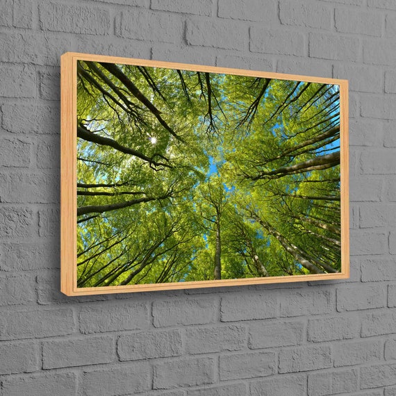 Green Forest Canopy Canvas Art Upward Tree View Wall Decor Nature Sky Perspective Poster Fresh Spring Cotton Print Calm